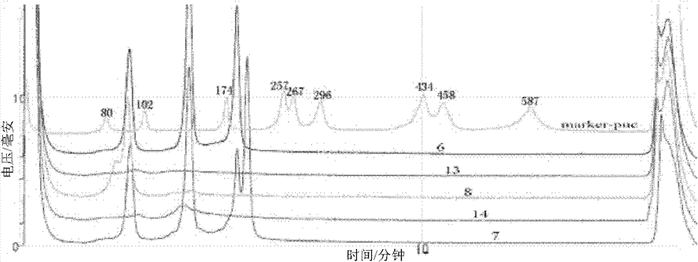 Multiplex PCR-DHPLC (polymerase chain reaction-denaturing high performance liquid chromatography) detection primer and detection method for genetically modified cotton