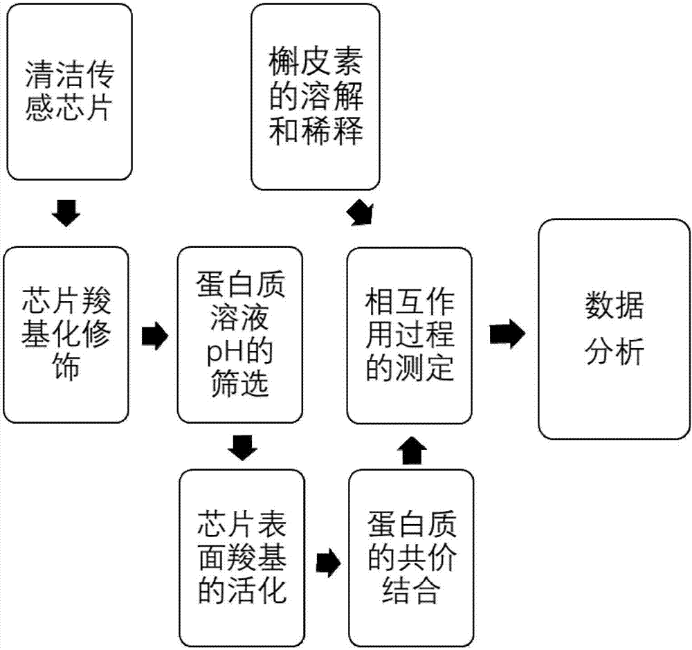 Surface plasma resonance (SPR) analysis method for determining combination level of quercetin and proteins