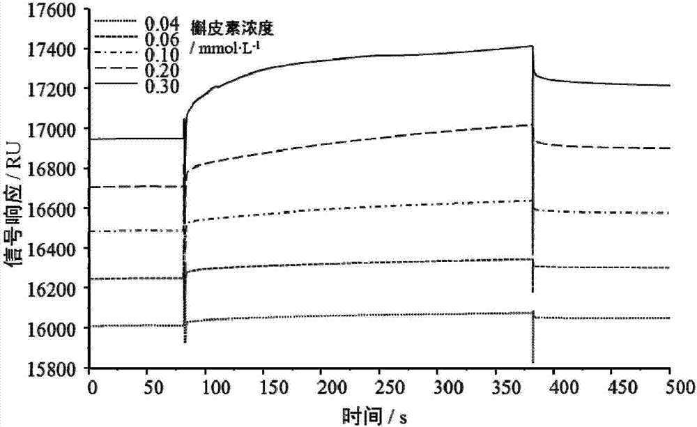 Surface plasma resonance (SPR) analysis method for determining combination level of quercetin and proteins