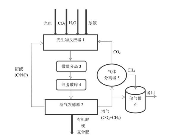 Treatment method for converting urine to resources and energy