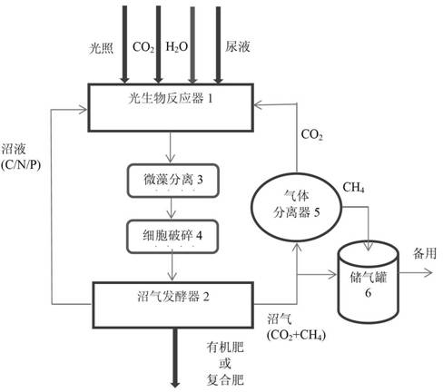 Treatment method for converting urine to resources and energy