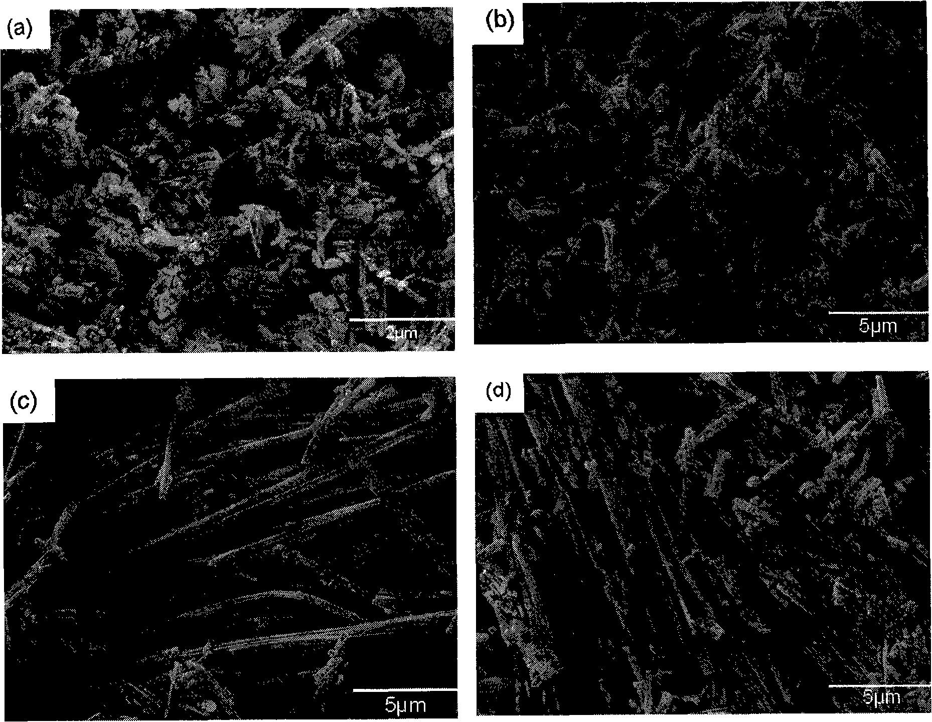 Method for preparing bismuth sulfide whiskers and the bismuth sulfide whiskers