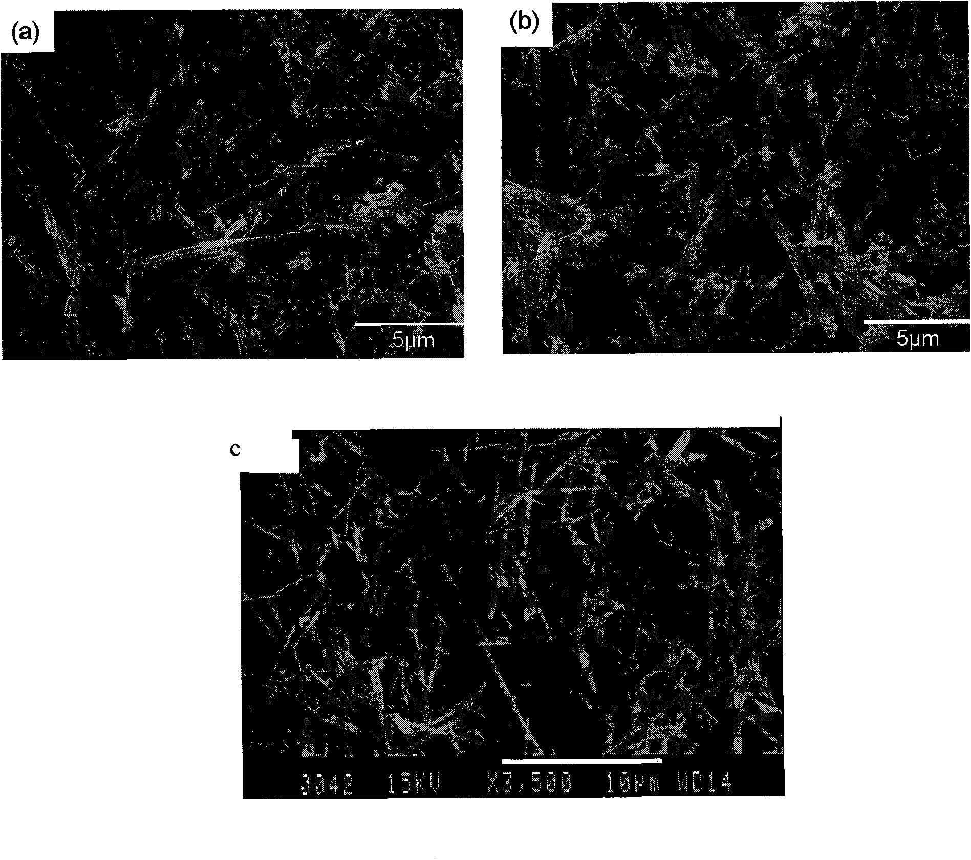 Method for preparing bismuth sulfide whiskers and the bismuth sulfide whiskers