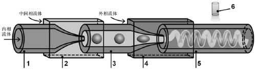 Functional micro-spiral and preparation method therefor