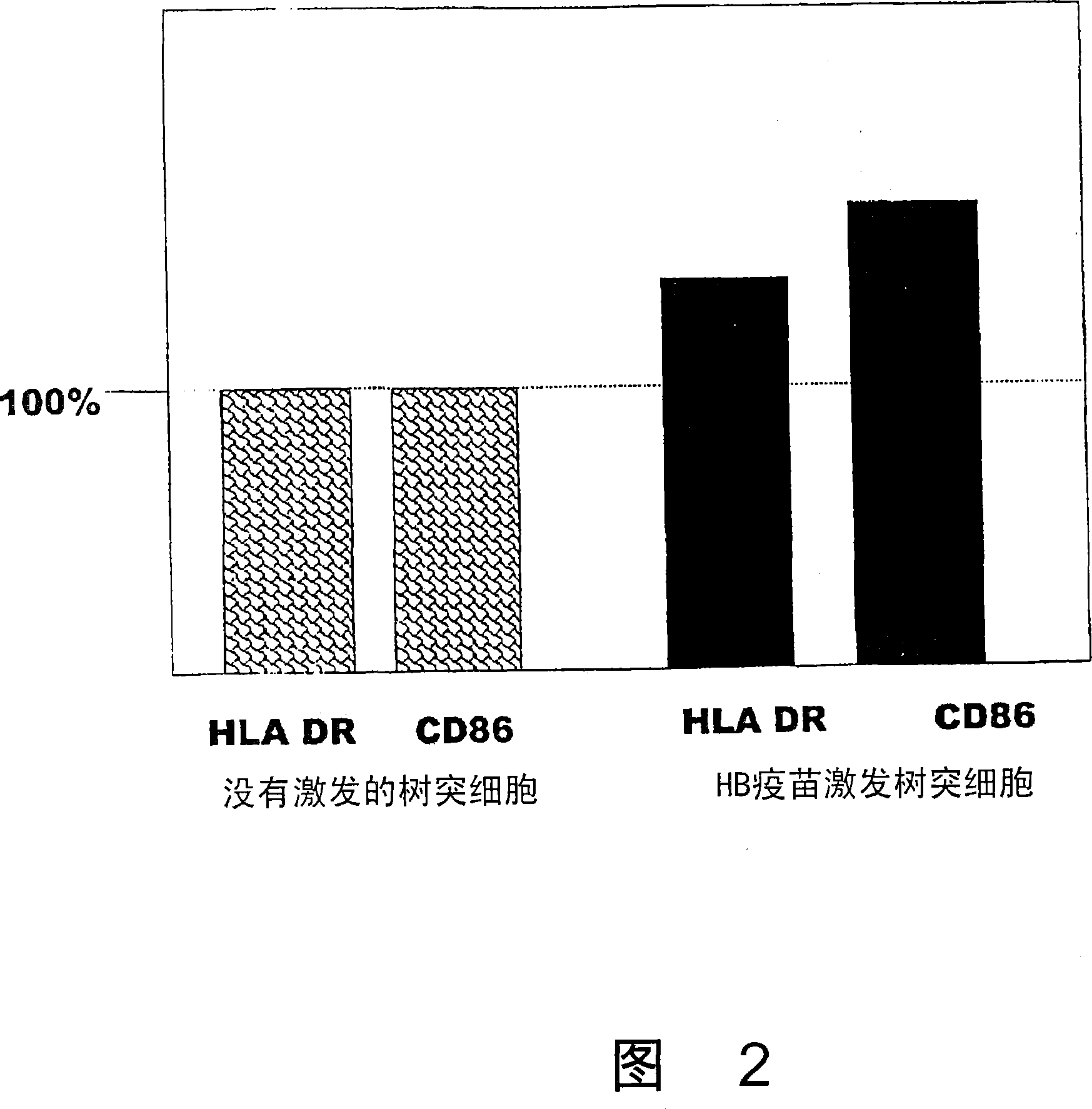 Dendritic cell obtained by antigen pulsing