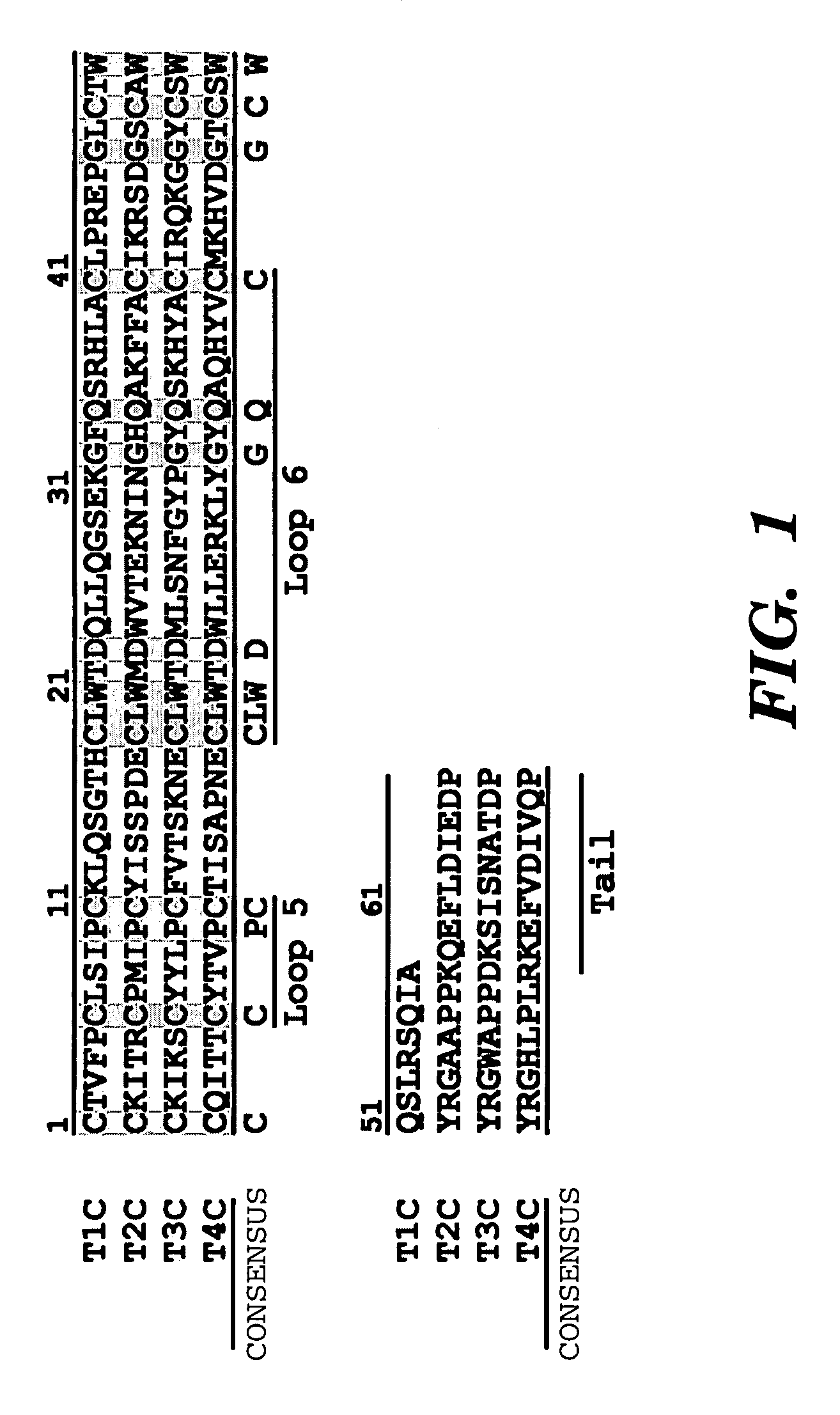 Antiangiogenic peptides