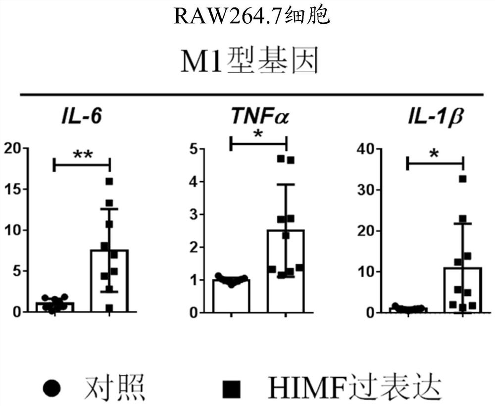 Method for adjusting polarization state of macrophage