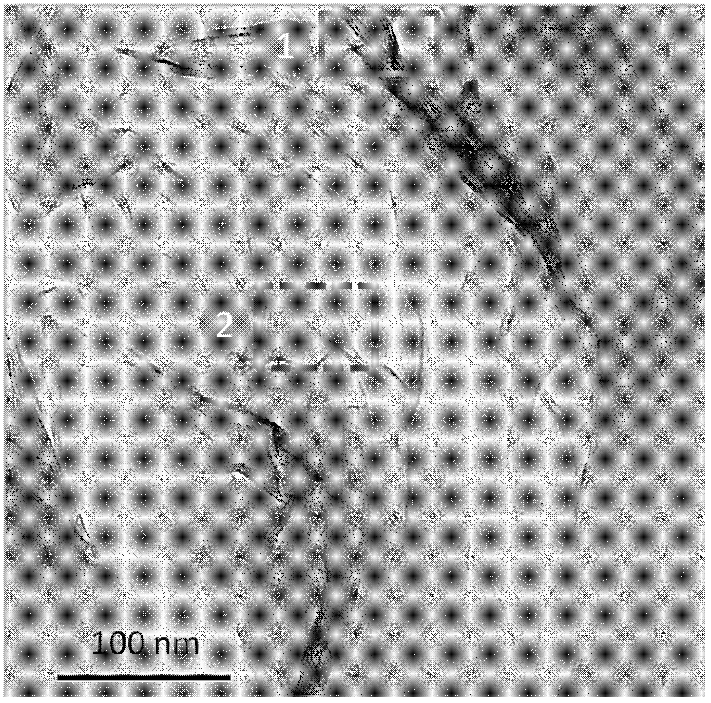 Preparation method of polymer/graphene nano composite material