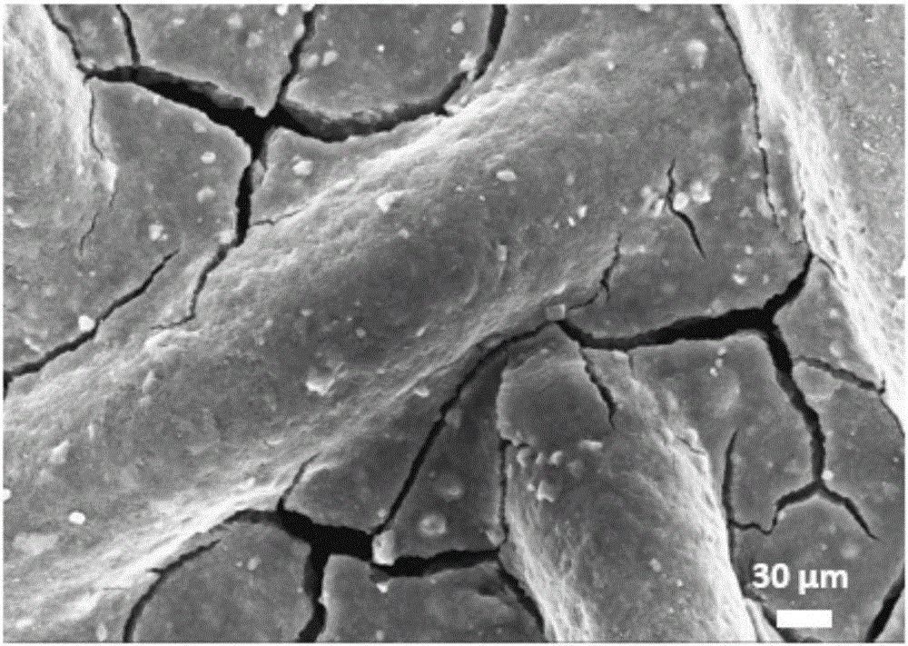 High efficiency water splitting oxygen electrode suitable for natural water and preparation method