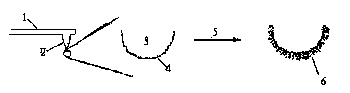 Method for preparing probe tip of nano tube