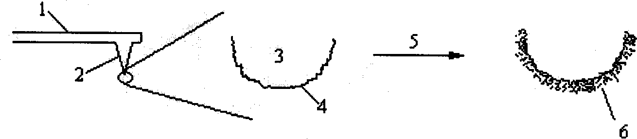 Method for preparing probe tip of nano tube