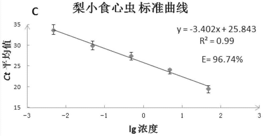 Oriental fruit moth fluorescent light PCR (Polymerase Chain Reaction) detection method and application