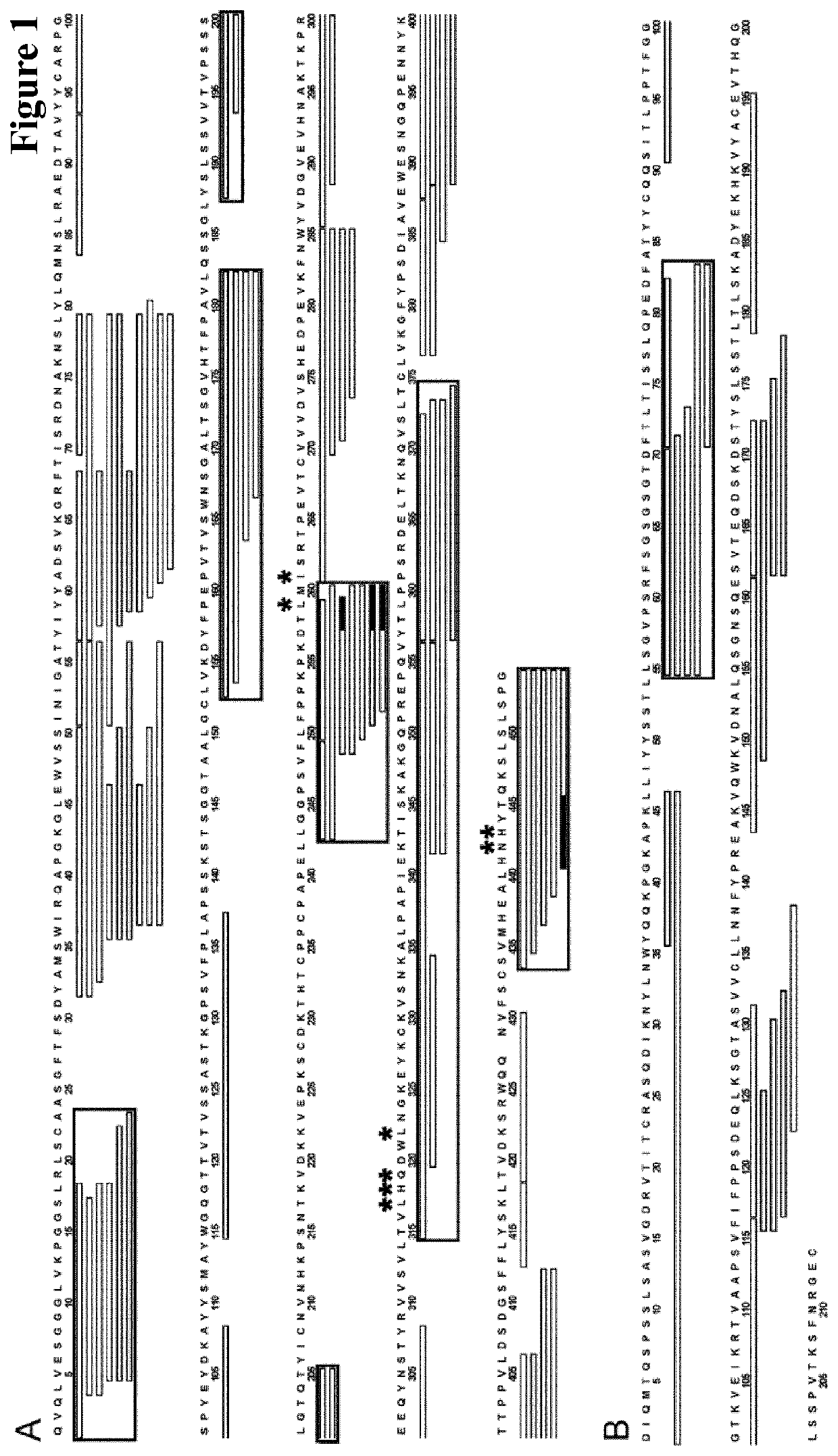 Method for selecting antibodies with modified fcrn interaction