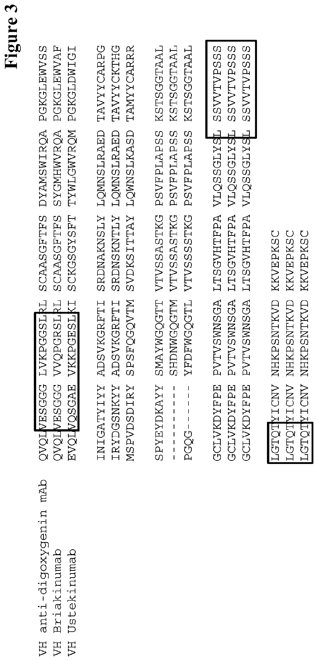 Method for selecting antibodies with modified fcrn interaction