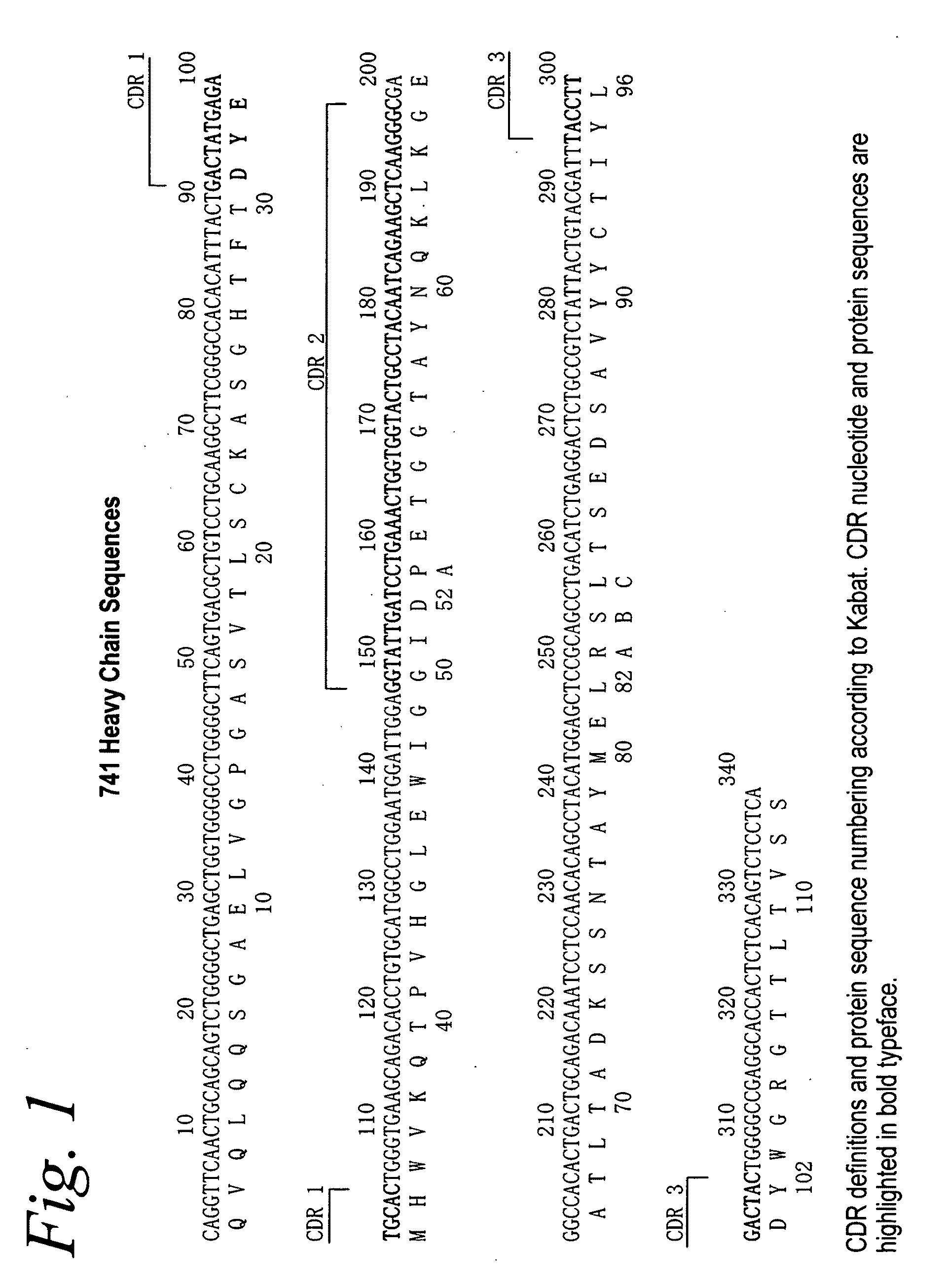 Antibodies against flagellin and uses thereof