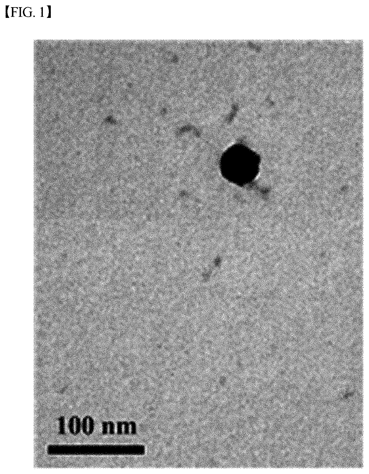 Vibrio parahaemolyticus bacteriophage Vib-PAP-2 and use thereof for inhibiting proliferation of <i>Vibrio parahaemolyticus</i>