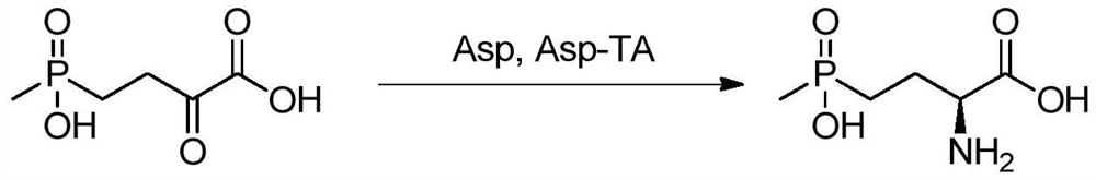 A d-amino acid oxidase mutant and its application