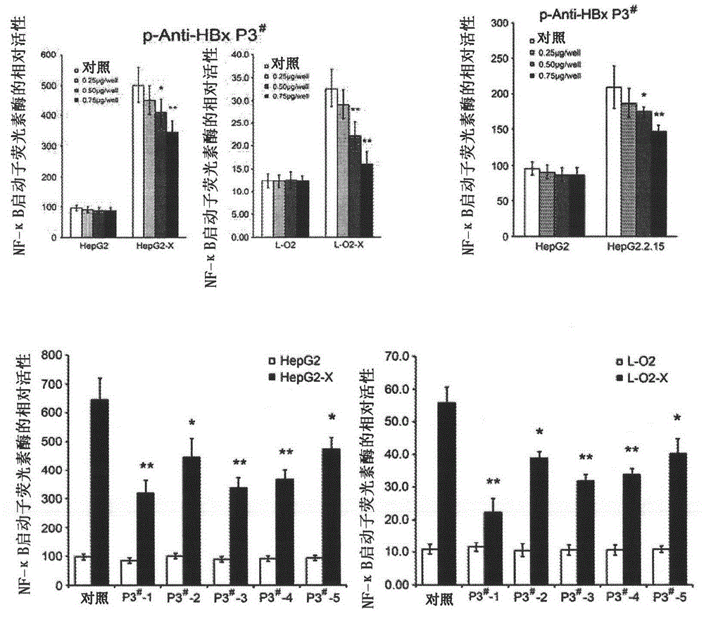 Polypeptide drug for resisting Hepatitis B virus X protein