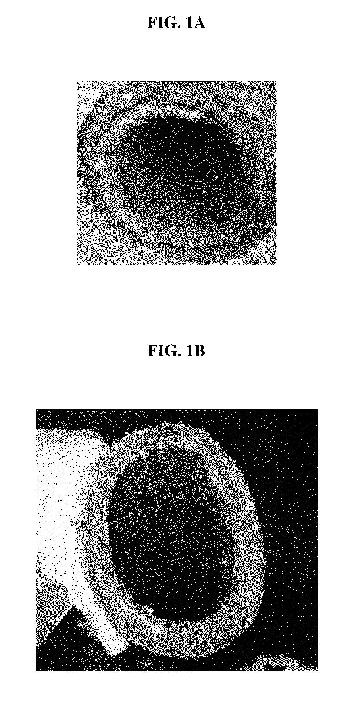 Process and reagents for the inhibition or reduction of scale formation during phosphoric acid production