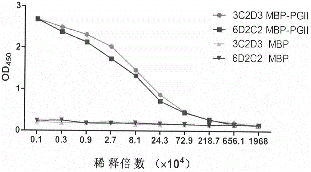 Soluble secretory expression of PG II-MBP fusion protein and application thereof