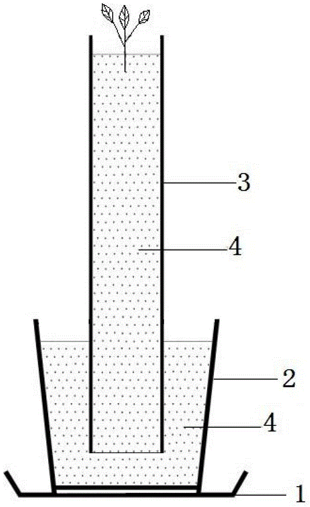 Burdock cultivation method and cultivation device used by same