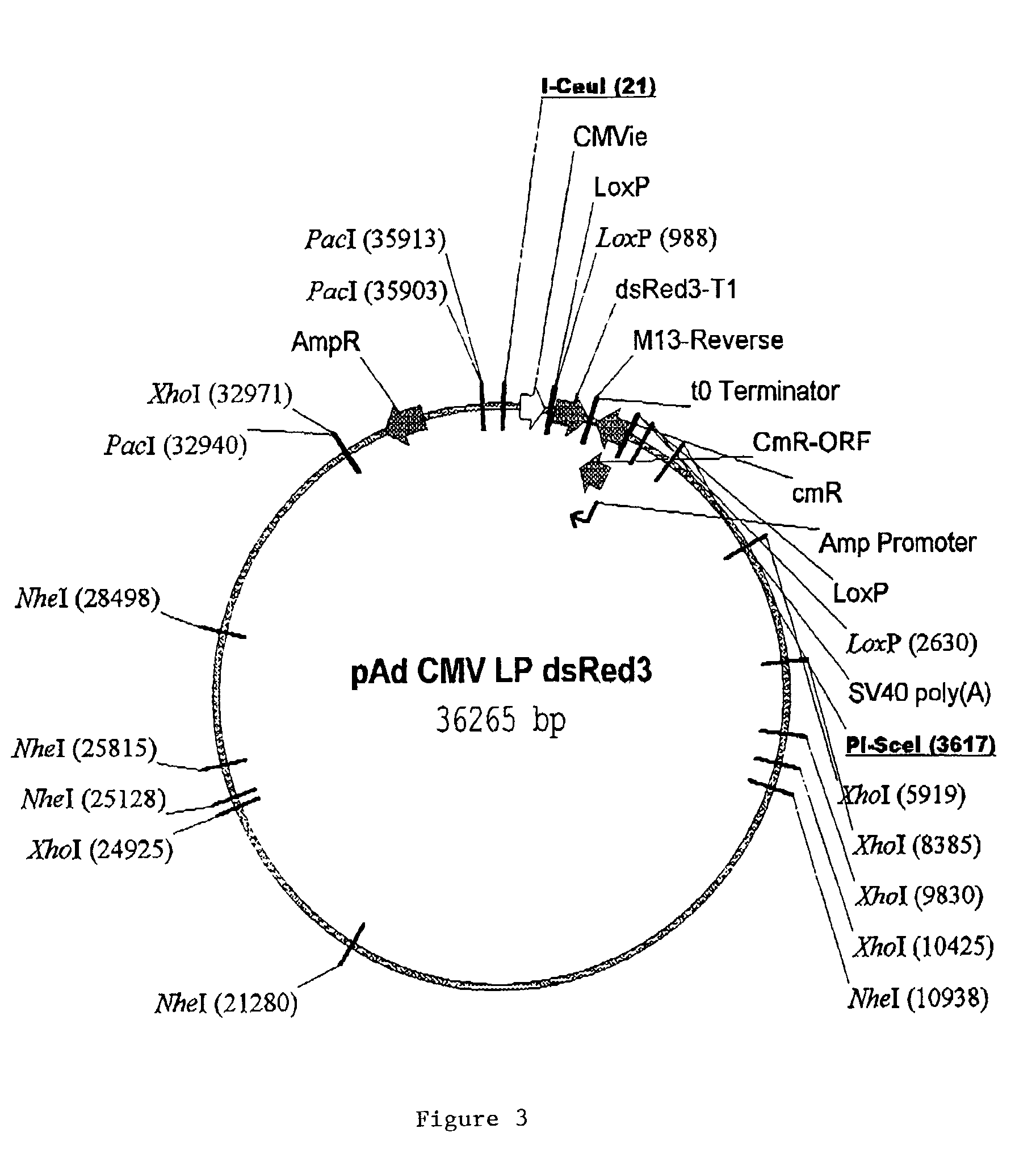 Site specific recombinase based method for producing adenoviral vectors