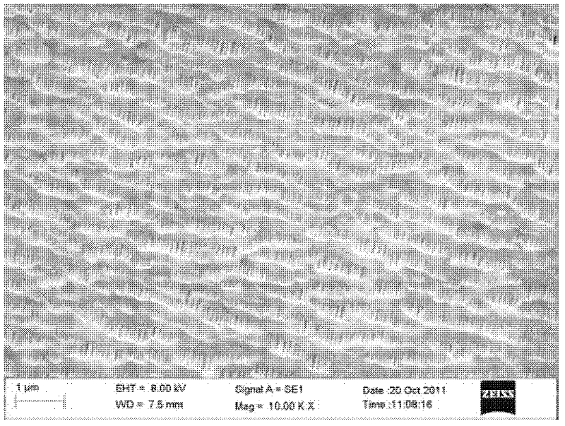 Ceramic coating membrane and preparation method thereof