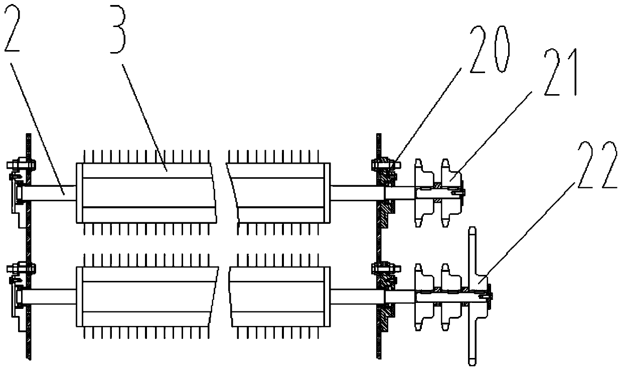 Cleaning device of lotus root cleaning machine