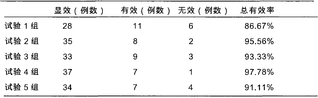 Traditional Chinese medicine composition for treating allergic rhinitis and preparation method thereof