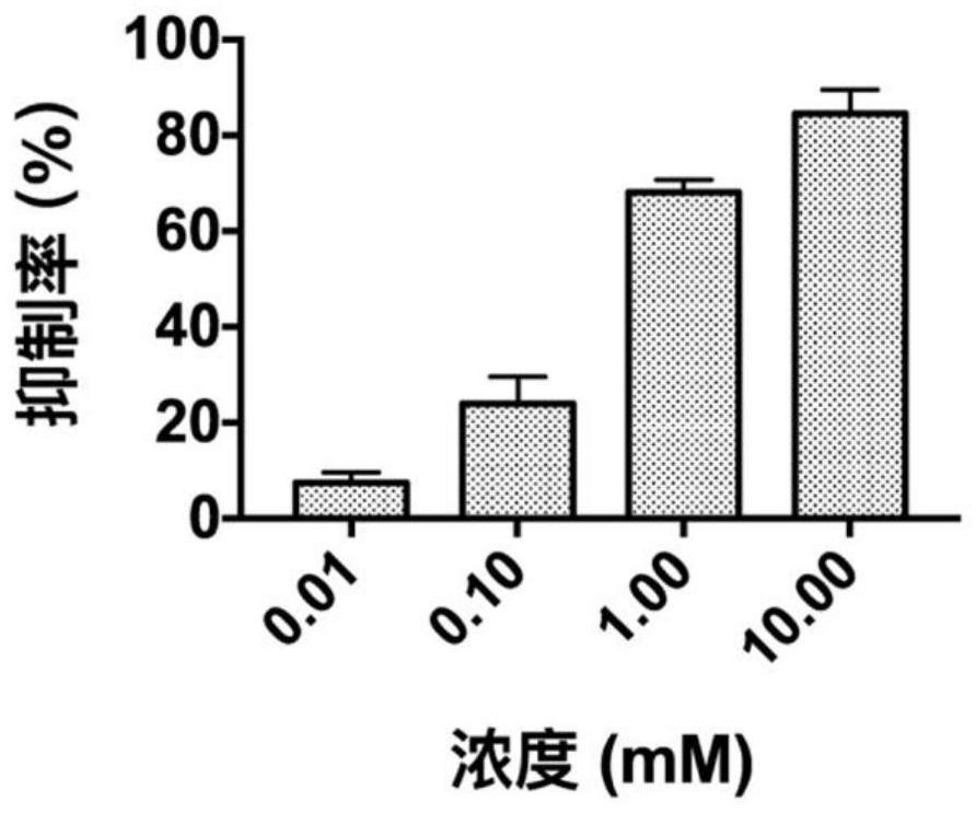 A kind of benzamide small molecule inhibitor and its application in inhibiting ornithine decarboxylase