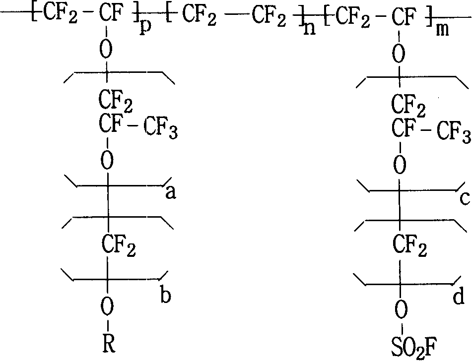 Fluor resin with sulfuryl fluoride and aether terminal group lateral group, synthesizing method and application thereof