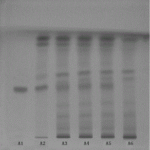 A quality detection method for Jieyu Shunxin Tablets