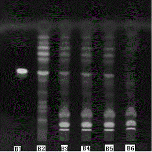 A quality detection method for Jieyu Shunxin Tablets