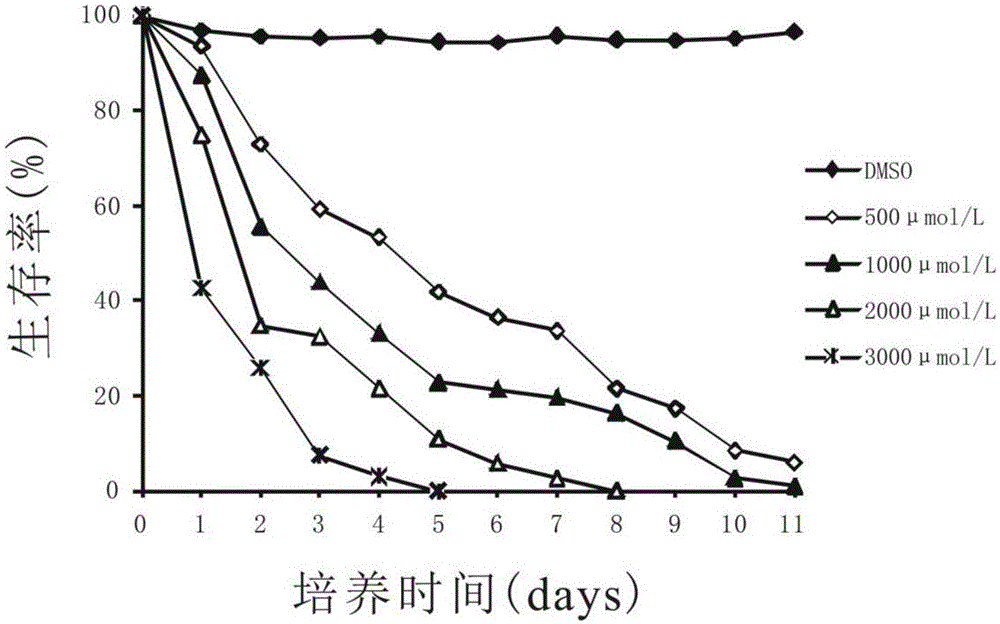 Application of lithocholic acid serving as active ingredient in preparation of echinococcosis granulosis cyst treatment medicine