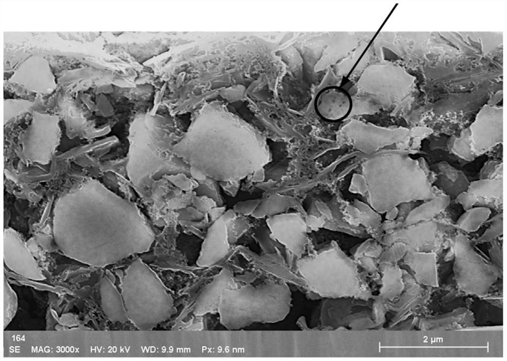 A secondary doped silicon-based negative electrode material and preparation method thereof