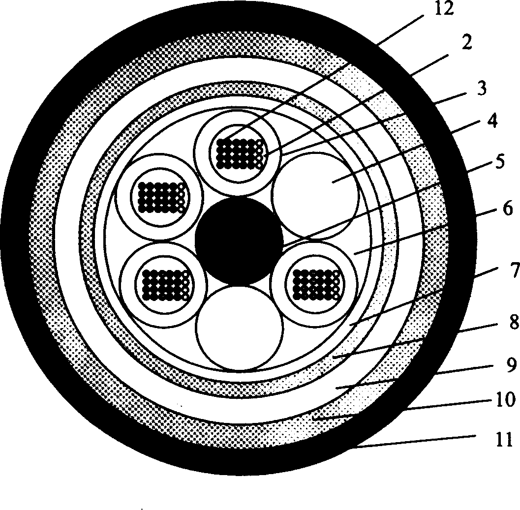 Optical cable laid in sewer line and laying method thereof