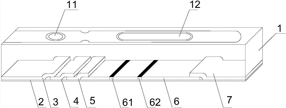 Kit for detecting calprotectin in human fecal sample and preparation method thereof