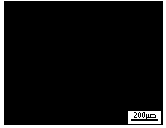 Powder metallurgy iron copper-based oiliness antifriction material containing rare earth oxides and preparing method