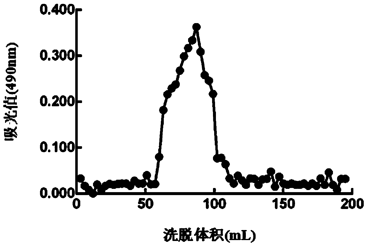 Application of Bangia fusco-purpurea polysaccharide in preparation of medicine for promoting wound healing