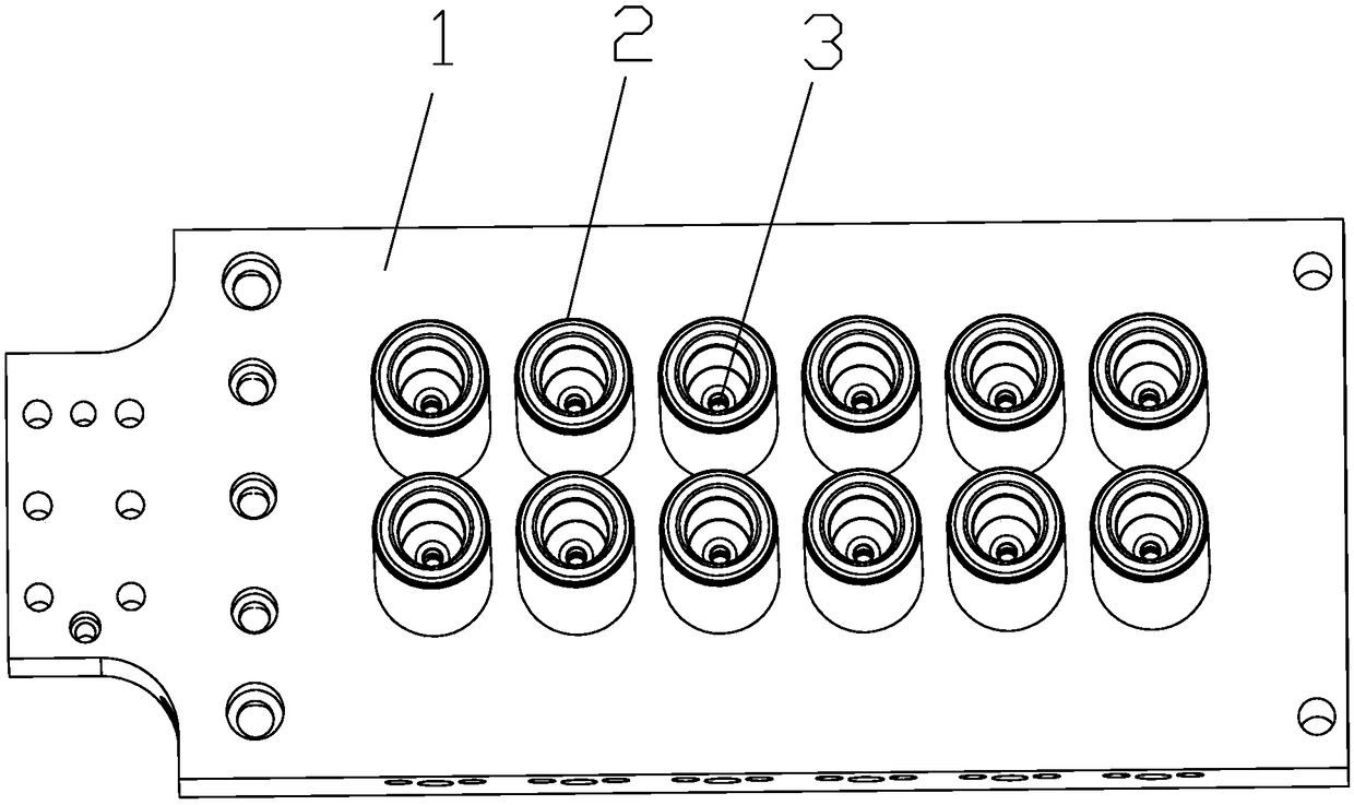 Bottle embryo glue melting injection molding process