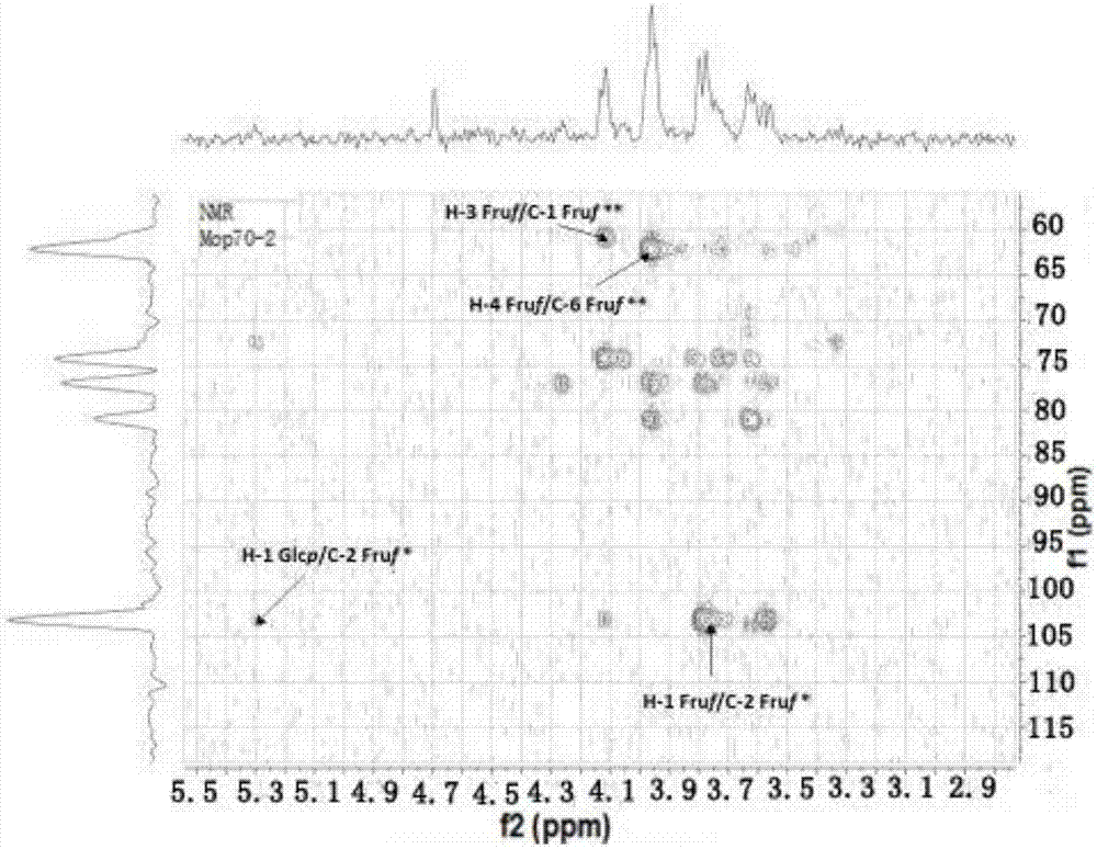 Radix morindae officinalis saccharide polymer as well as preparation method and use thereof