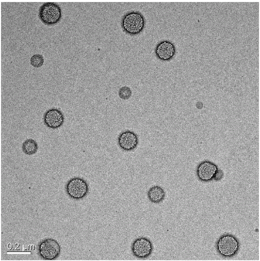 Method for preparing biodiesel by adopting magnetic carrier immobilized lipase