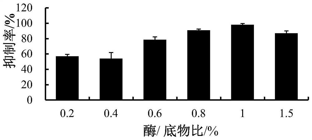 Crocodile bone gelatin polypeptide, and preparation method and applications of crocodile bone gelatin polypeptide