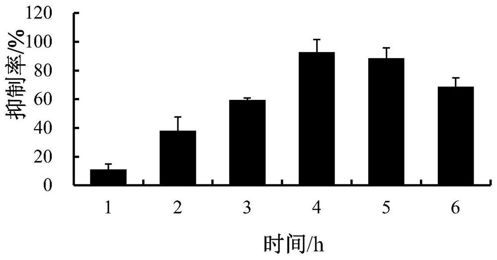 Crocodile bone gelatin polypeptide, and preparation method and applications of crocodile bone gelatin polypeptide