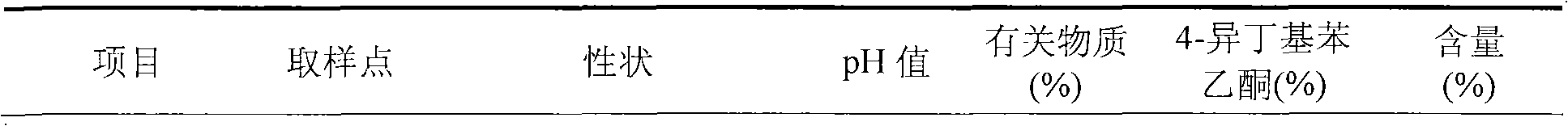 Ibuprofen injection composite and preparation method thereof