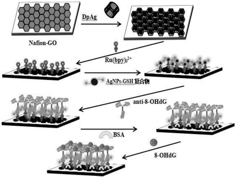 Electrochemiluminescence immunosensor