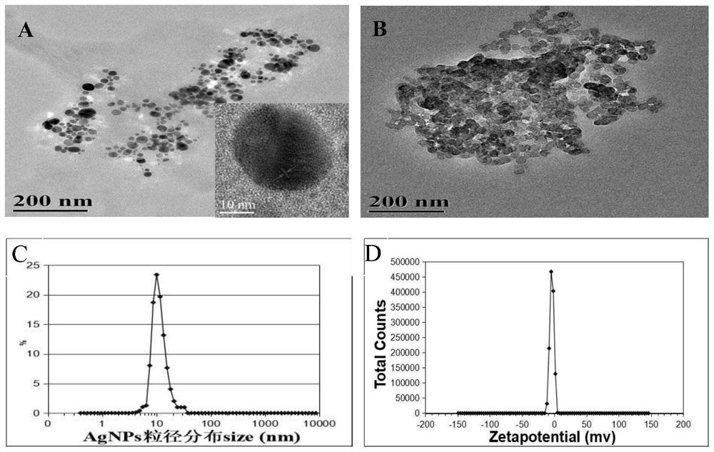 Electrochemiluminescence immunosensor