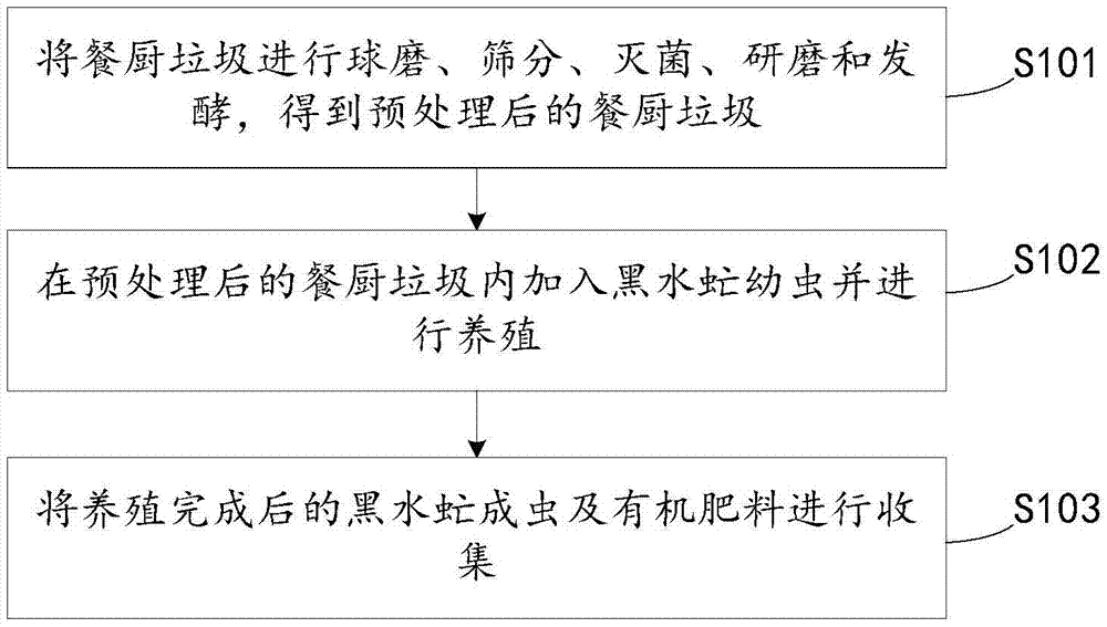 Method for breeding hermetia illucens to process kitchen waste