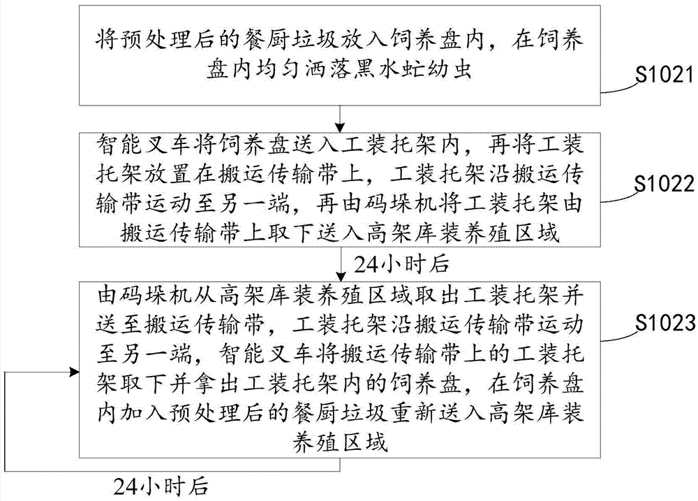 Method for breeding hermetia illucens to process kitchen waste