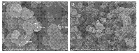 Single-type melanins and their preparation methods and applications